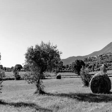 Vico Vico nel Lazio